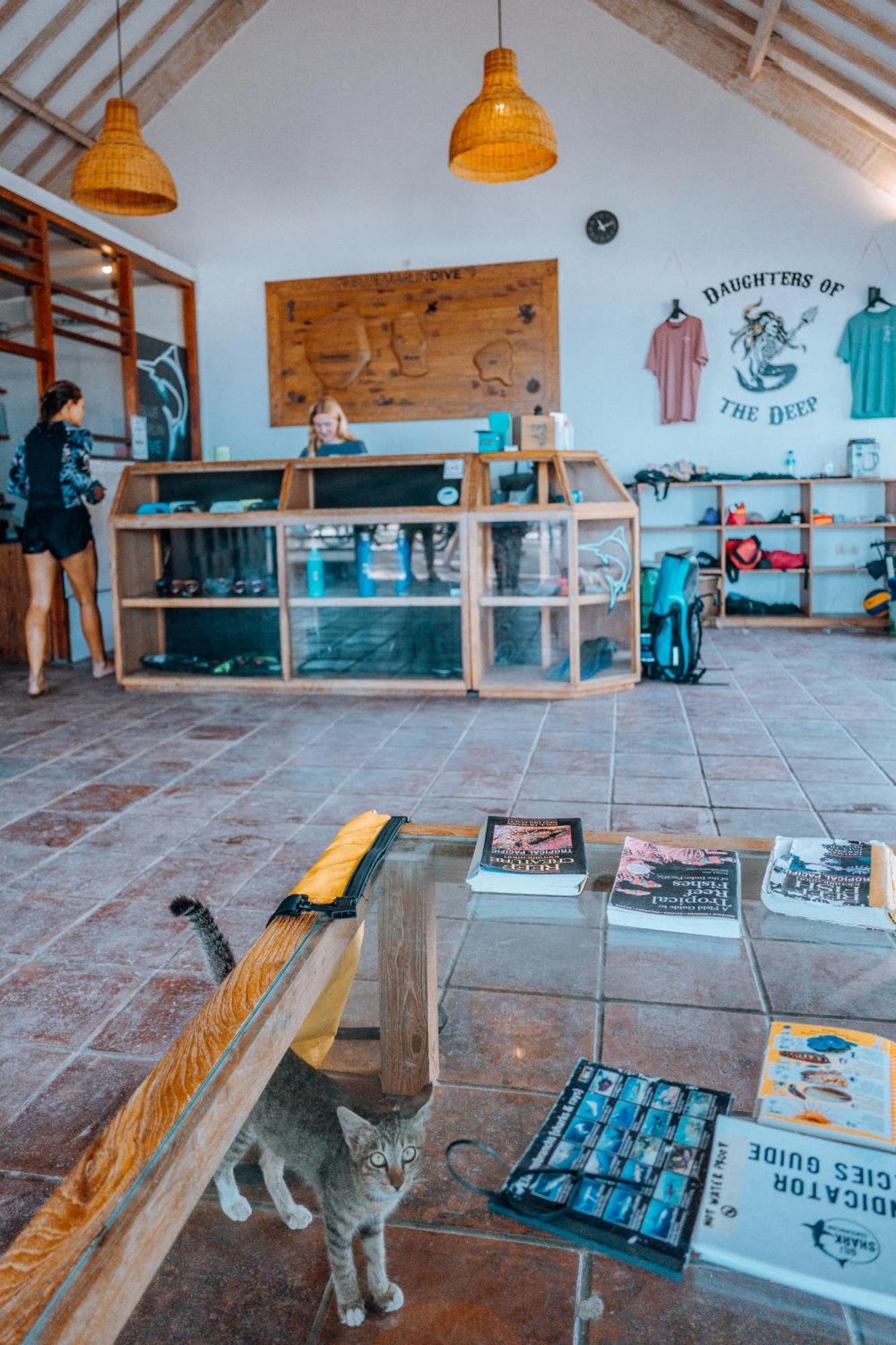 Hotel Blue Marlin Dive Gili Air Zewnętrze zdjęcie